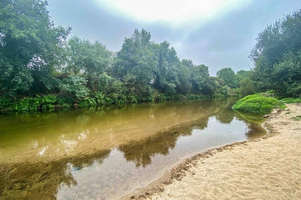 Appartamento Casa Petroleiro Albergaria-a-Velha Esterno foto