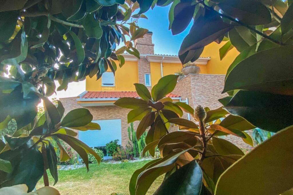Appartamento Casa Petroleiro Albergaria-a-Velha Esterno foto
